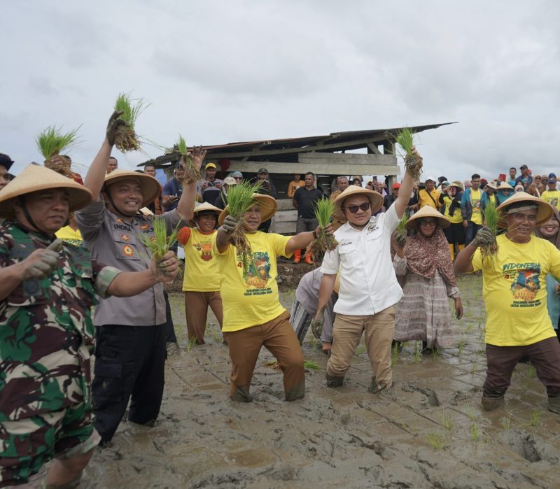 Ketgam: Bupati Muna Barat La Ode Darwin, Anggota DPR RI Komisi IV Dapil Sultra Jaelani, Kapolres Muna AKBP Indra Sandy Purnama melakukan penanaman padi bersama para petani. (FOTO:TIM MEDIA PEMKAB MUBAR)
