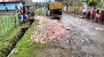Mobil Truk Pengangkut Ubur-Ubur Resahkan Warga Pulau Kabaena